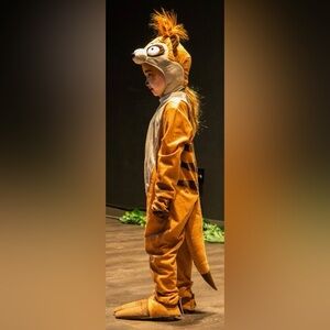 Cozy Tiger Onesie Costume